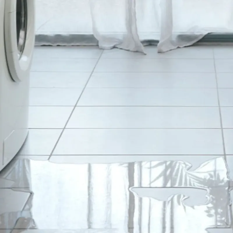 Appliance Leak Cleanup in West and East Lealman, FL