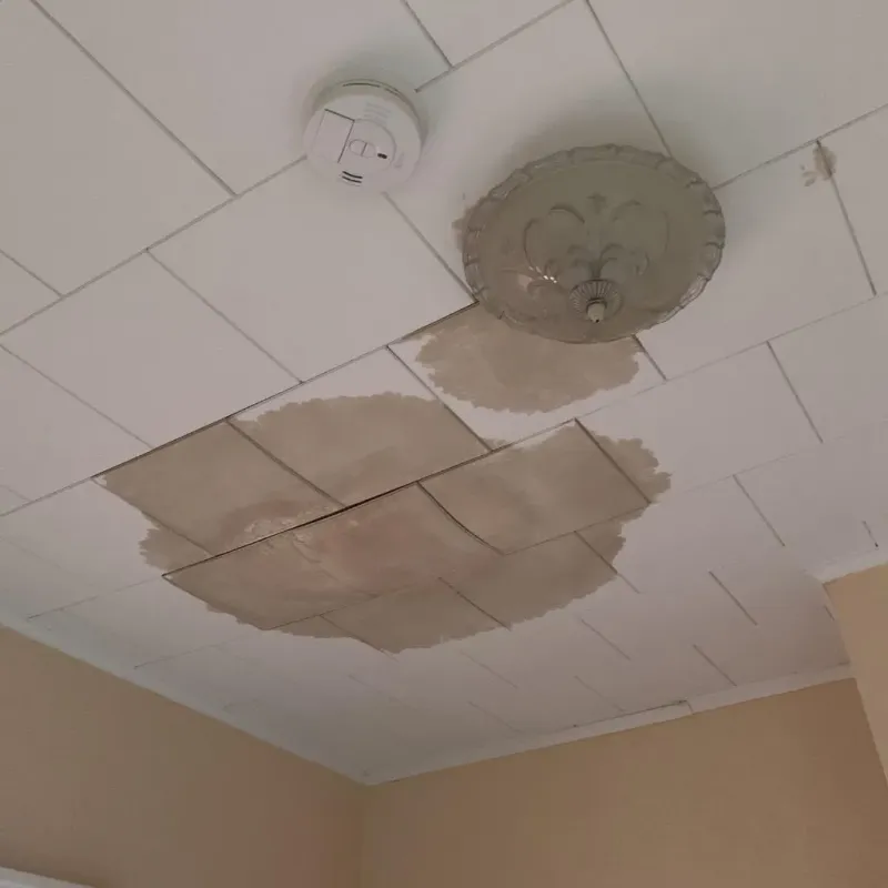 Ceiling Water Damage Repair in West and East Lealman, FL