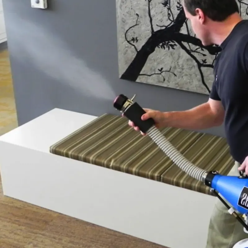 Professional Odor Removal in West and East Lealman, FL